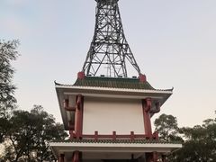 -金鸡山公园