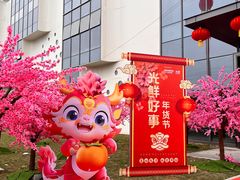 -深圳市海吉星国际农产品物流管理有限公司