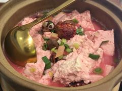 三明红菇炖豆腐-CHIC1699远洋私厨