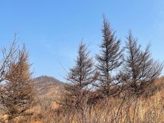 -北京凤凰岭