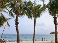 -玫瑰海岸文化旅游度假区