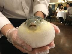 -肆月河豚·新淮扬(金融街店)