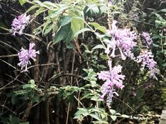 -白塘生态植物园