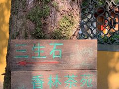 -杭州西湖风景名胜区-三生石