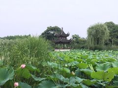 -花溪公园