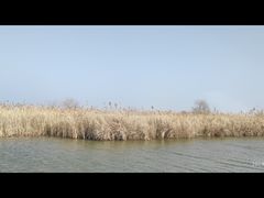 -宁波杭州湾国家湿地公园
