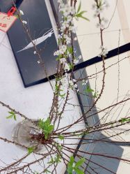 -鲸彩·美甲美睫科技护肤