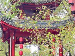 -龙潭水乡