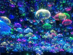-天津梵高星空艺术馆(天河城旗舰店)