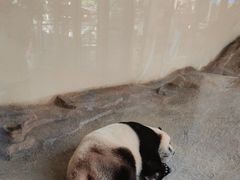 -宁波野生动物园