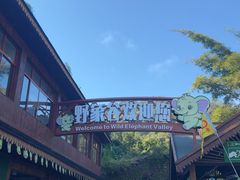 -野象谷景区