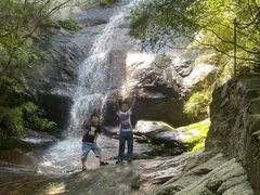 -王顺山国家森林公园