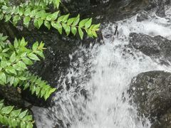 -石台牯牛降景区