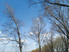 -野鸭湖国家湿地公园