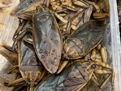 -莫华(锦绣趣园北街店)