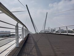 -映月湖中央公园