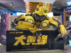 -奥斯卡升龙国际影城(RealD Cinema)