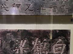 -白鹤梁水下博物馆