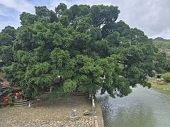 -福建土楼（南靖）云水谣景区-和贵楼