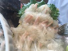 -东菊料理(吉利购物广场店)