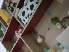 -青龙山国家森林公园