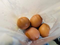 -西安外国语大学-学生食堂
