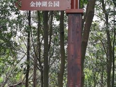 -中山市树木园