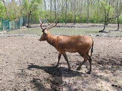 -溱湖国家湿地公园