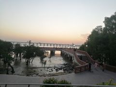 -宝安西湾红树林湿地公园