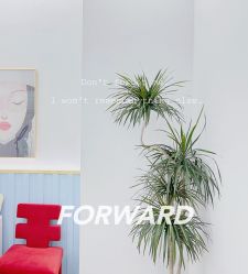 -JONMAVIN·美学