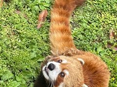 -黔灵山公园