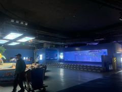 -重庆欢乐海底世界