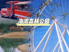 -日照灯塔风景区