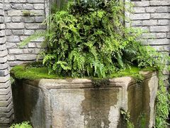 -鱼桥巷·美学川菜