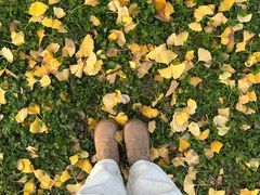 -汉长安城未央宫国家考古遗址公园