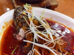糖醋脆皮鱼-曾牛肉