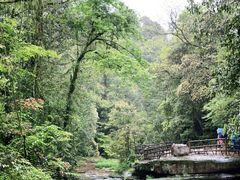 -碧峰峡风景区