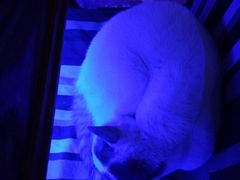 -星宿秘码(鼓浪屿老店)