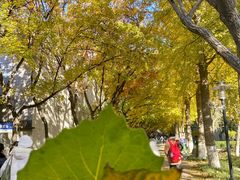 -山东师范大学(千佛山校区)