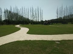 -上海长兴岛郊野公园