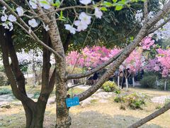 -南山植物园
