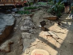 -中国第四纪冰川遗迹陈列馆