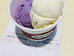 双球杯-哈根达斯(青岛海信店)