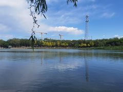 -大兴滨河森林公园