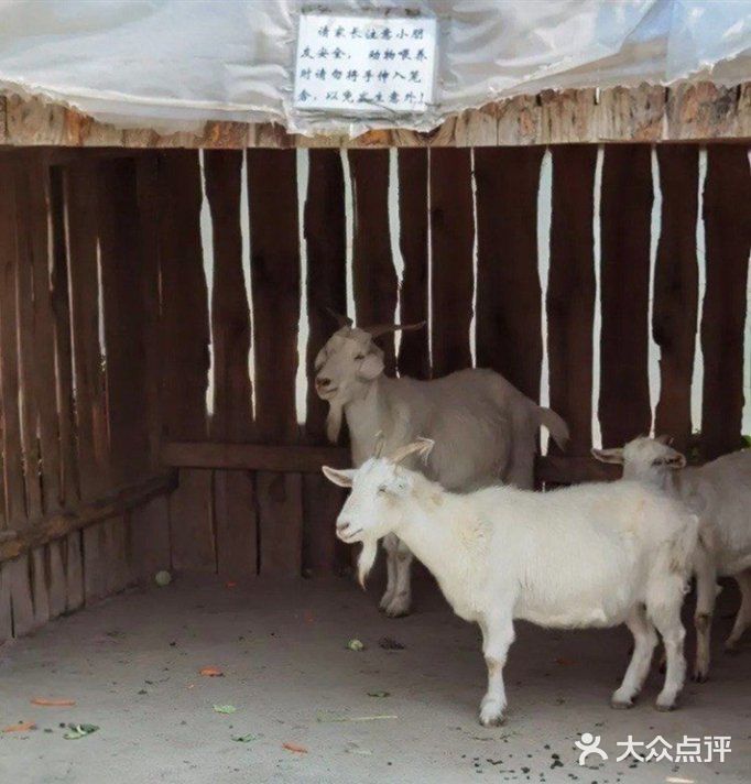 有趣的[调皮]亲子团建