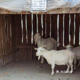 有趣的[调皮]亲子团建