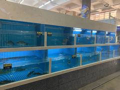 -福达坊批发城(汉阳黄金口总店)