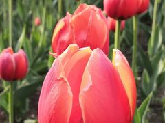 -长春公园(普阳街道)