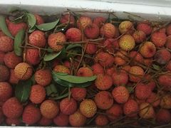 -大班家政月嫂育儿嫂(广州NO.1店)