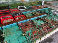 -景好海鲜餐厅(大鹏必选旅游店)